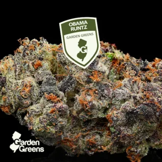 Obama Runtz 3.5g